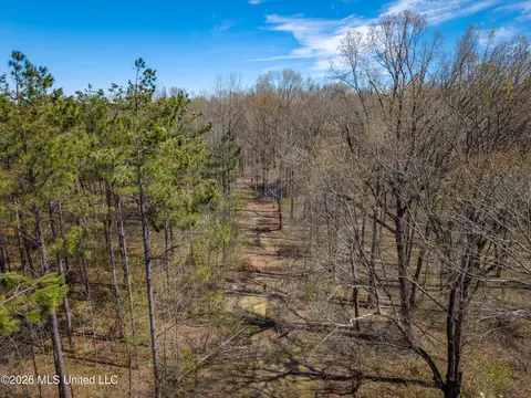 Wise Bend Road, Thaxton, MS 38871 photo 6