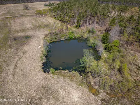 Wise Bend Road, Thaxton, MS 38871 photo 4