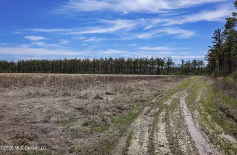 Wise Bend Road, Thaxton, MS 38871 photo 9