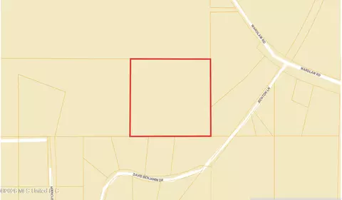 W David Benjamin Drive, Mccomb, MS 39648 photo 2