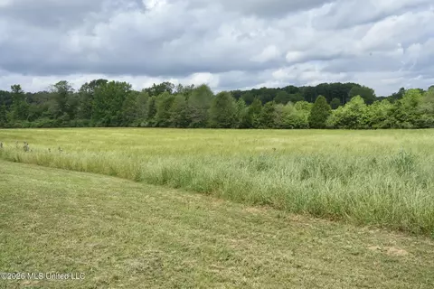 6594 Miller Rd, Smithdale, MS 39664 photo 24