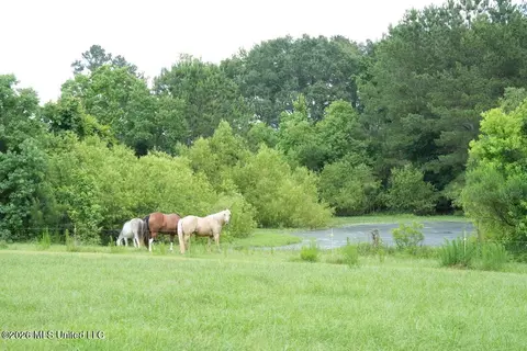 6594 Miller Rd, Smithdale, MS 39664 photo 19