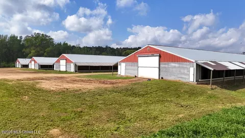 6594 Miller Rd, Smithdale, MS 39664 photo 21