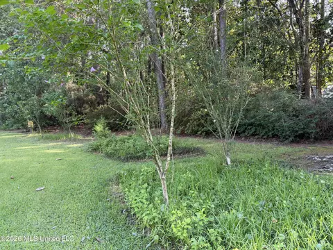 Exterior - 9141 Heather Ln, Moss Point, MS 39562 photo 15 of 21
