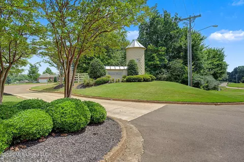 3635 Williams Brooke Ln, Hernando, MS 38632 photo 45