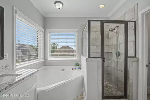 3635 Williams Brooke Ln, Hernando, MS 38632 photo 20