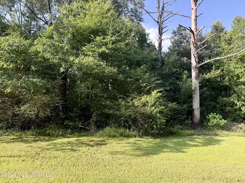Mcdonald Road, Madison, MS 39110 photo 6