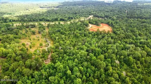 Bent Creek, Picayune, MS 39466 photo 10