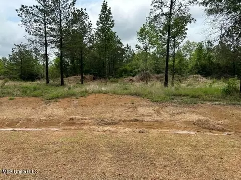 Bent Creek, Picayune, MS 39466 photo 5