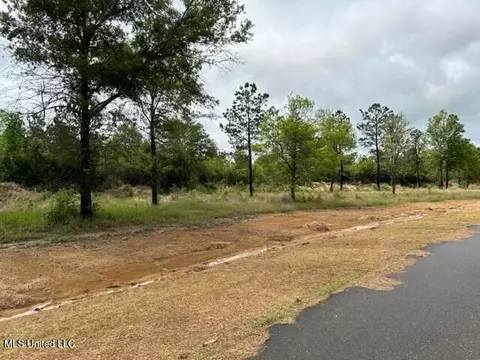 Bent Creek, Picayune, MS 39466 photo 6