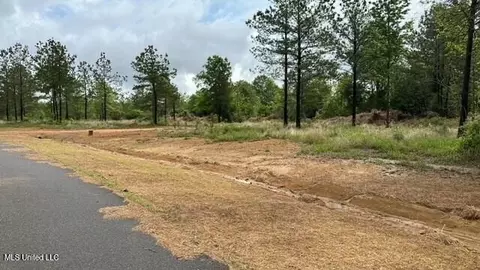 Bent Creek, Picayune, MS 39466 photo 3