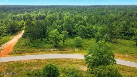 Bent Creek, Picayune, MS 39466 photo 9