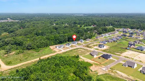View/Area - 1683 Baisley Dr, Nesbit, MS 38651 photo 2 of 2