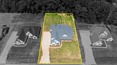 Other - 1683 Baisley Dr, Nesbit, MS 38651 photo 1 of 11