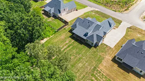 View/Area - 1683 Baisley Dr, Nesbit, MS 38651 photo 1 of 4