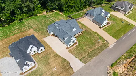 View/Area - 1683 Baisley Dr, Nesbit, MS 38651 photo 2 of 4