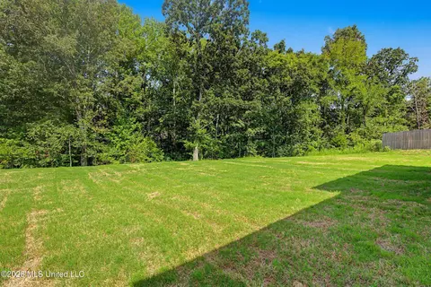 Exterior - 1683 Baisley Dr, Nesbit, MS 38651 photo 8 of 10
