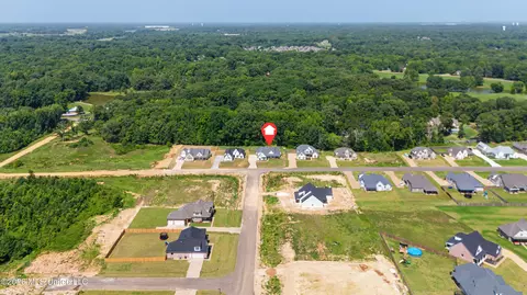 View/Area - 1683 Baisley Dr, Nesbit, MS 38651 photo 1 of 2