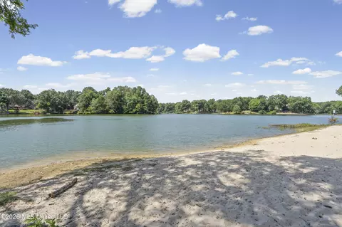 View/Area - 4830 S Big Horn Dr, Nesbit, MS 38651 photo 1 of 7