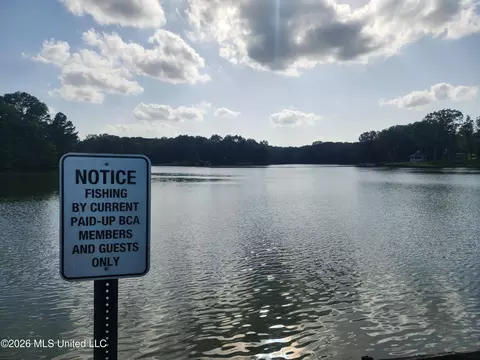 View/Area - 4830 S Big Horn Dr, Nesbit, MS 38651 photo 3 of 7
