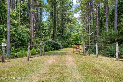 3181 Centerville Rd, Magnolia, MS 39652