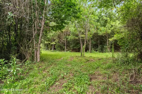 Other - 232 Knoxo Columbia Rd, Kokomo, MS 39643 photo 41 of 65