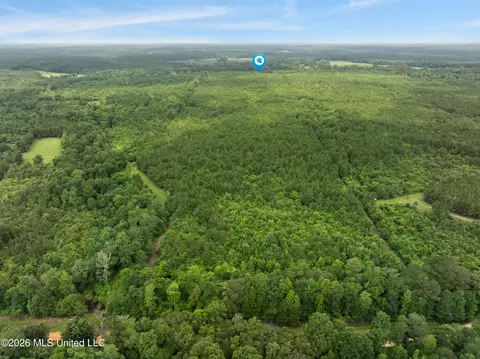 Other - 232 Knoxo Columbia Rd, Kokomo, MS 39643 photo 64 of 65
