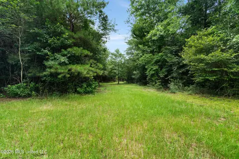 Other - 232 Knoxo Columbia Rd, Kokomo, MS 39643 photo 51 of 65