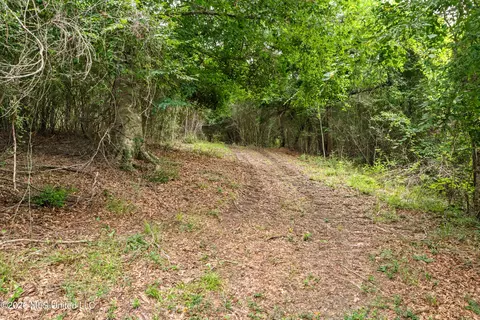 Other - 232 Knoxo Columbia Rd, Kokomo, MS 39643 photo 40 of 65