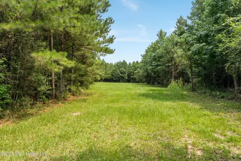 Other - 232 Knoxo Columbia Rd, Kokomo, MS 39643 photo 27 of 65