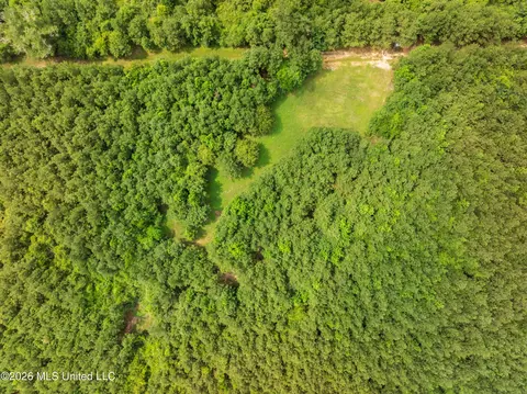Other - 232 Knoxo Columbia Rd, Kokomo, MS 39643 photo 58 of 65
