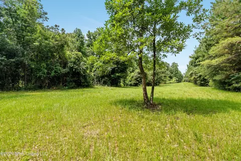 Other - 232 Knoxo Columbia Rd, Kokomo, MS 39643 photo 35 of 65