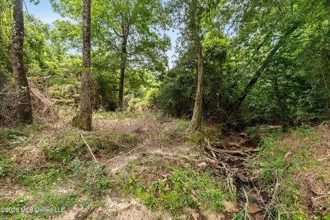 Other - 232 Knoxo Columbia Rd, Kokomo, MS 39643 photo 39 of 65