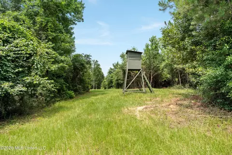 Other - 232 Knoxo Columbia Rd, Kokomo, MS 39643 photo 37 of 65
