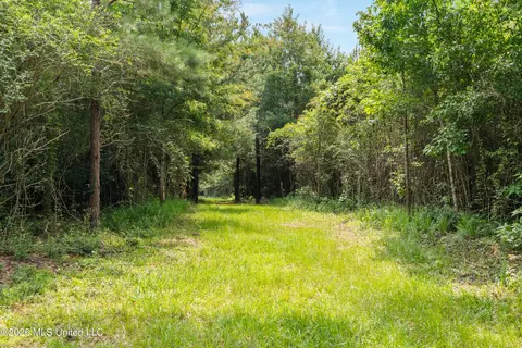 Other - 232 Knoxo Columbia Rd, Kokomo, MS 39643 photo 28 of 65