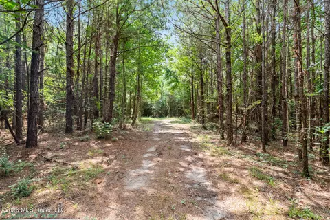 Other - 232 Knoxo Columbia Rd, Kokomo, MS 39643 photo 25 of 65