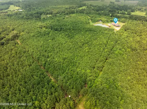 Other - 232 Knoxo Columbia Rd, Kokomo, MS 39643 photo 63 of 65