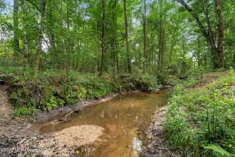 Other - 232 Knoxo Columbia Rd, Kokomo, MS 39643 photo 50 of 65