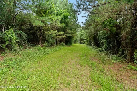 Other - 232 Knoxo Columbia Rd, Kokomo, MS 39643 photo 44 of 65