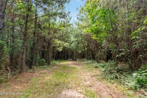 Other - 232 Knoxo Columbia Rd, Kokomo, MS 39643 photo 31 of 65