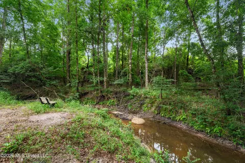 Other - 232 Knoxo Columbia Rd, Kokomo, MS 39643 photo 48 of 65