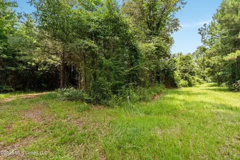 Other - 232 Knoxo Columbia Rd, Kokomo, MS 39643 photo 26 of 65