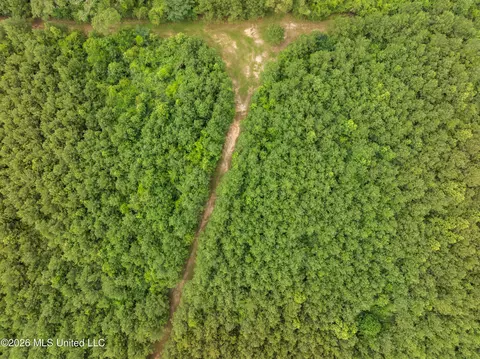 Other - 232 Knoxo Columbia Rd, Kokomo, MS 39643 photo 60 of 65