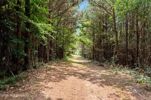 Other - 232 Knoxo Columbia Rd, Kokomo, MS 39643 photo 33 of 65