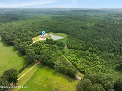 View/Area - 232 Knoxo Columbia Rd, Kokomo, MS 39643 photo 4 of 4