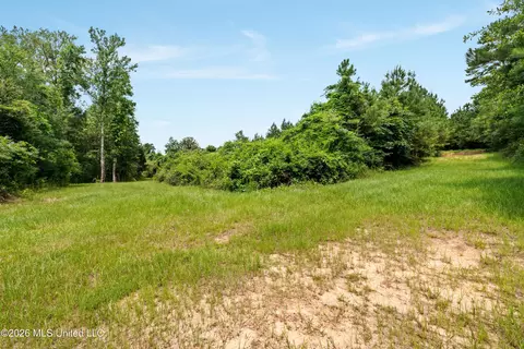 Other - 232 Knoxo Columbia Rd, Kokomo, MS 39643 photo 38 of 65