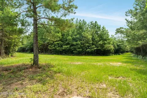 Other - 232 Knoxo Columbia Rd, Kokomo, MS 39643 photo 29 of 65