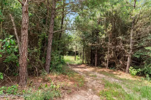 Other - 232 Knoxo Columbia Rd, Kokomo, MS 39643 photo 34 of 65