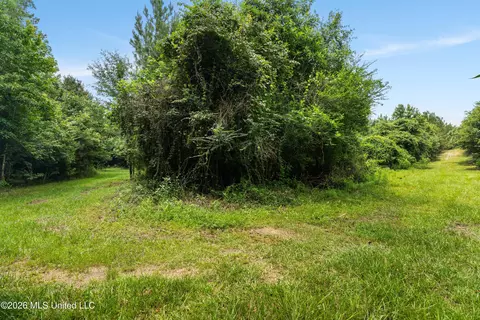 Other - 232 Knoxo Columbia Rd, Kokomo, MS 39643 photo 52 of 65