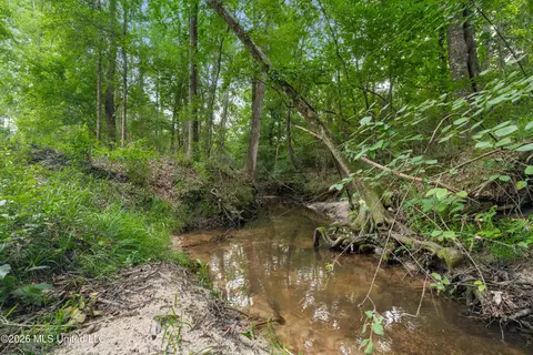 Other - 232 Knoxo Columbia Rd, Kokomo, MS 39643 photo 49 of 65